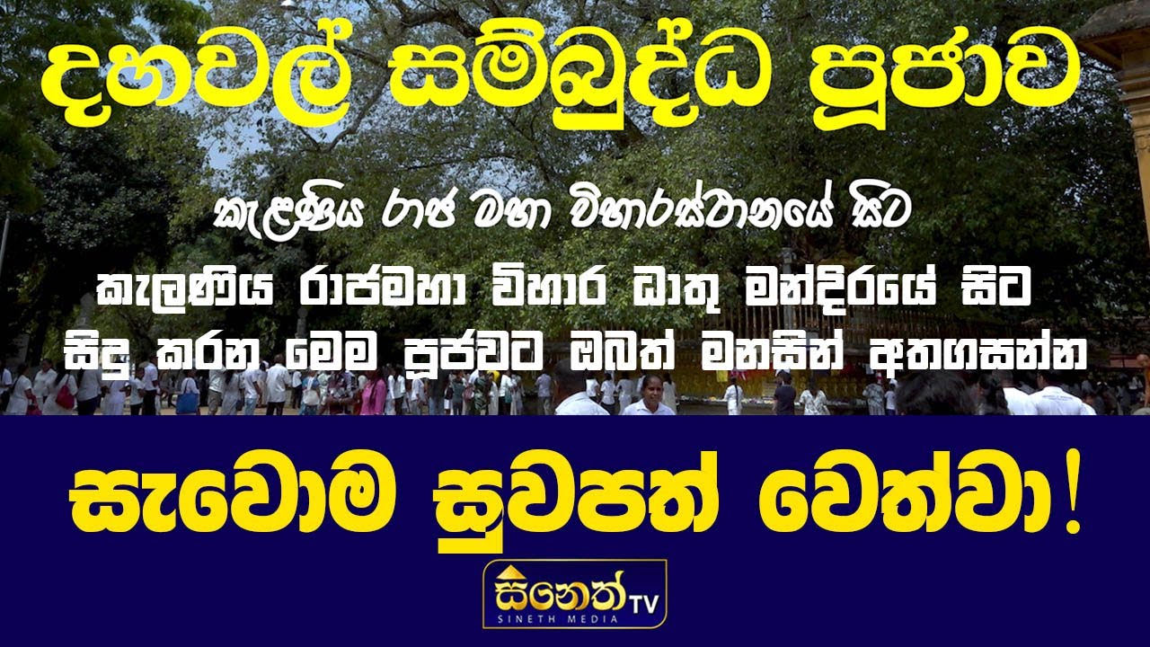 සධාතුක කරඩුව තැන්පත් කැළණි ධාතු මන්දිරයේ සිට සිදු කල මේ දහවල් පූජාවට ඔබත් මනසින් අතගසන්න